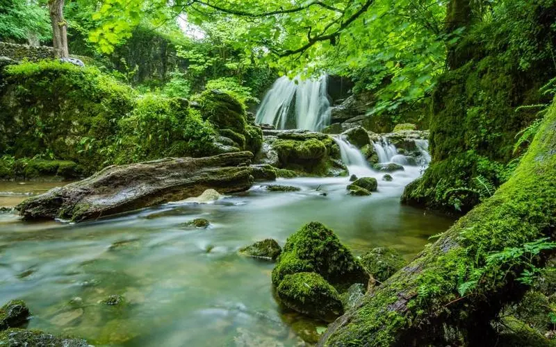 高端高性能高标准